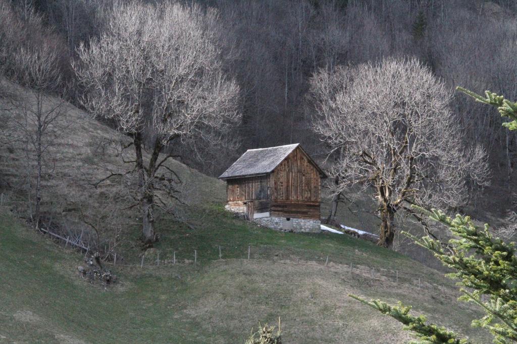 Alpen Suites Brandnertal Brand  Chambre photo